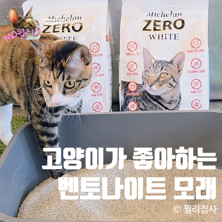  미켈란제로 화이트 떡짐 없는 벤토나이트 고양이모래 추천