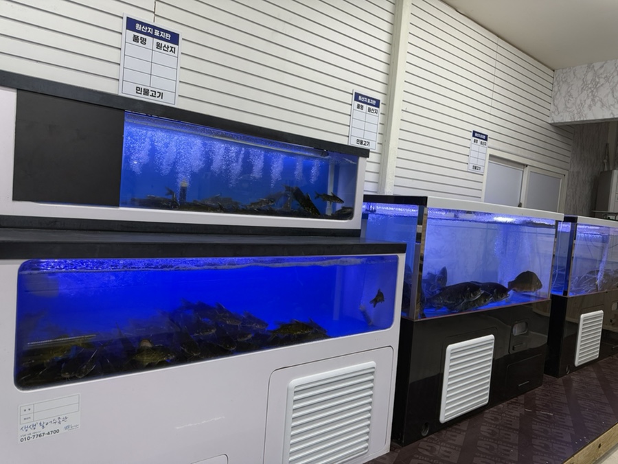 사계절산약초염소탕 사진 5