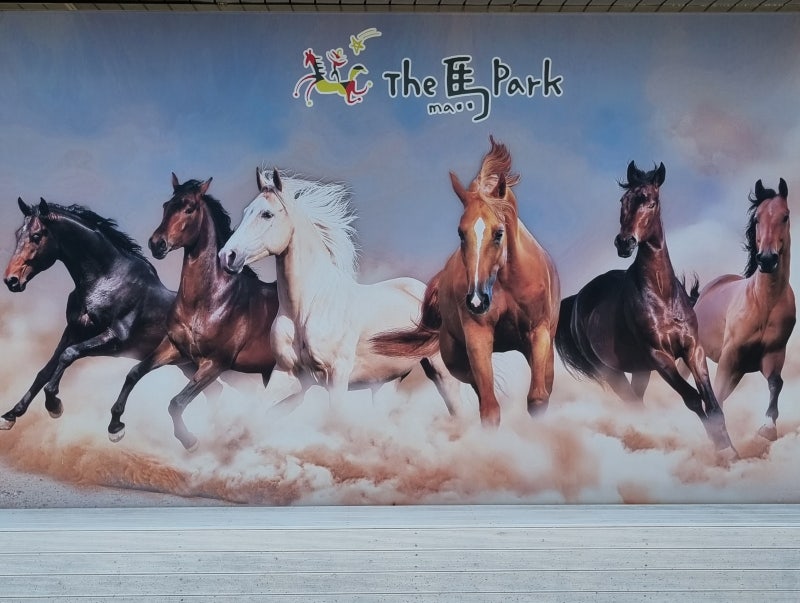 제주도 승마체험 라온 더마파크