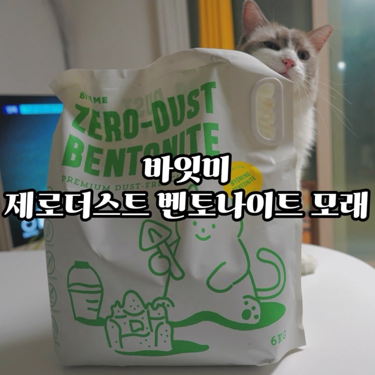  고양이 모래 고민 끝! 벤토나이트 모래 바잇미 제로더스트 솔직 후기