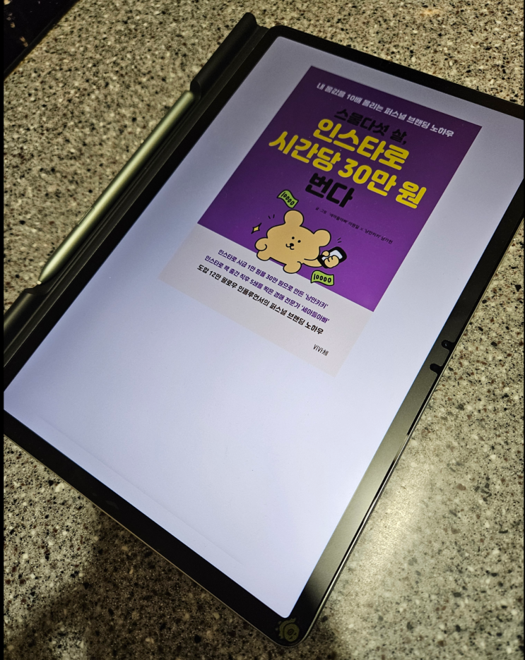  [85번째 서평] 스물다섯 살, 인스타로 시간당 30만원 번다