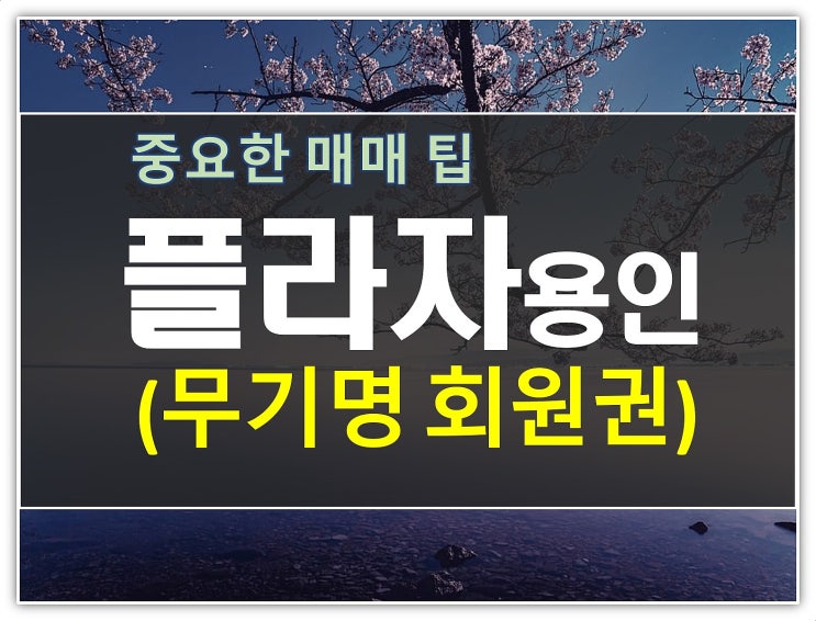  플라자용인 + 설악 통합 무기명회원권 경쟁력