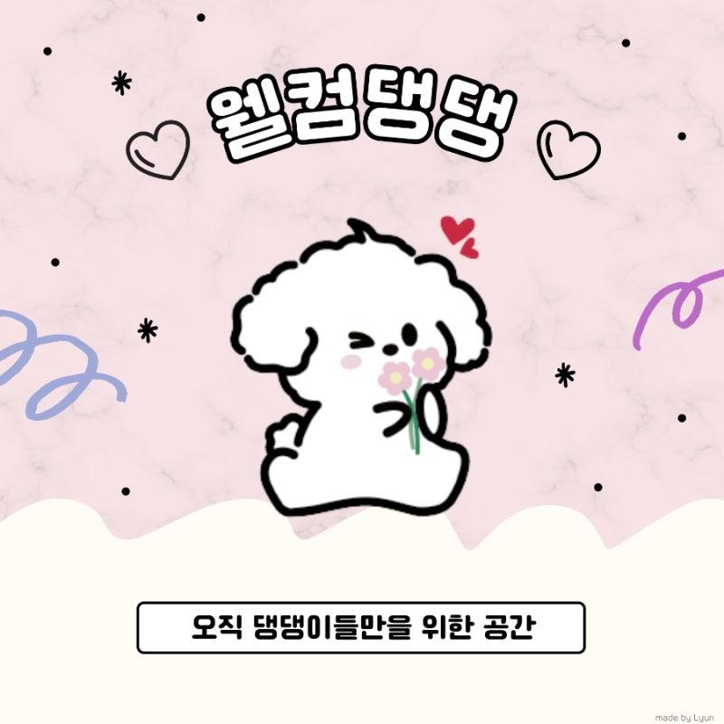사진 10
