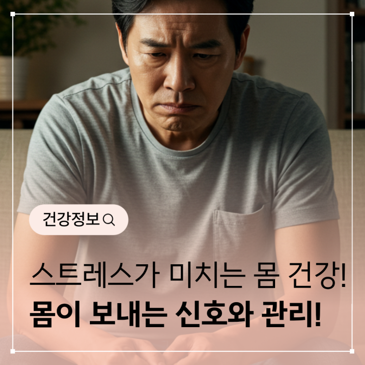  스트레스가 미치는 몸 건강 – 우리 몸이 보내는 신호와 관리 방법
