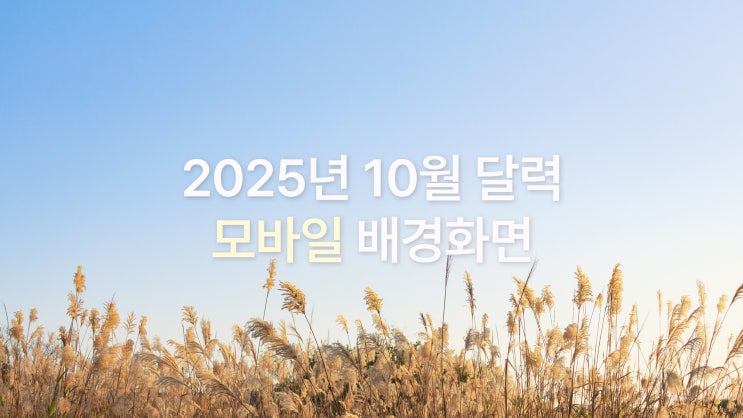  2025년 10월 달력 아이폰 17 프로맥스 고화질 가을 무드 심플 감성 배경화면 7종