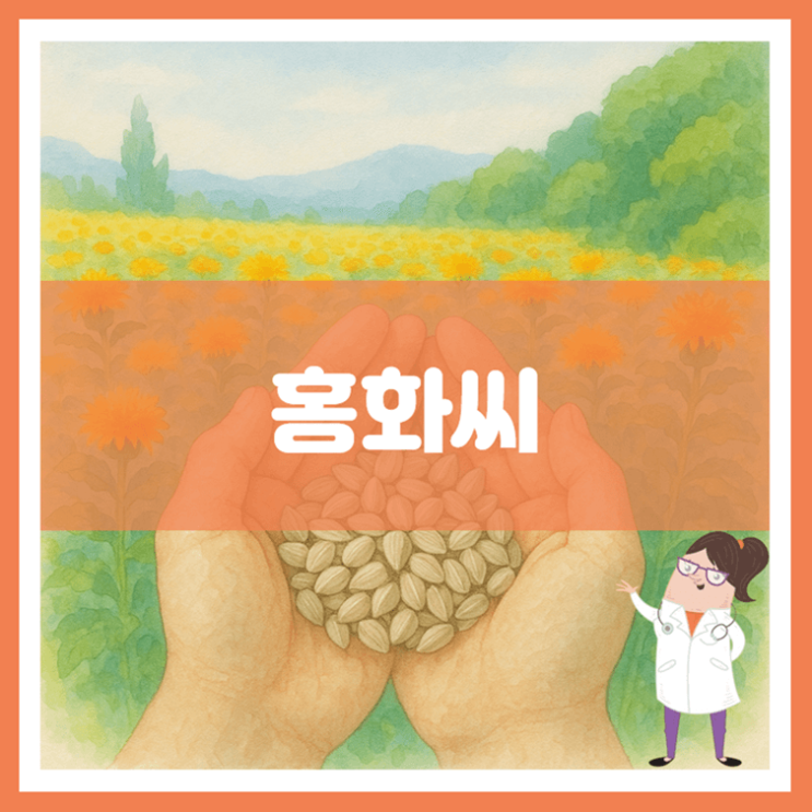  홍화씨 효능 부작용 먹는 방법