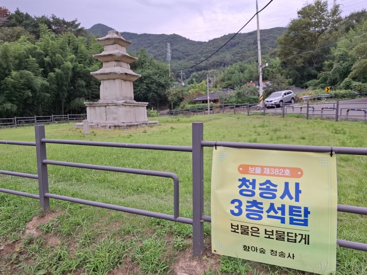  [울산 울주] 청송사지 삼층석탑 - 사라진 천년 절터를 지키고 있는 석탑
