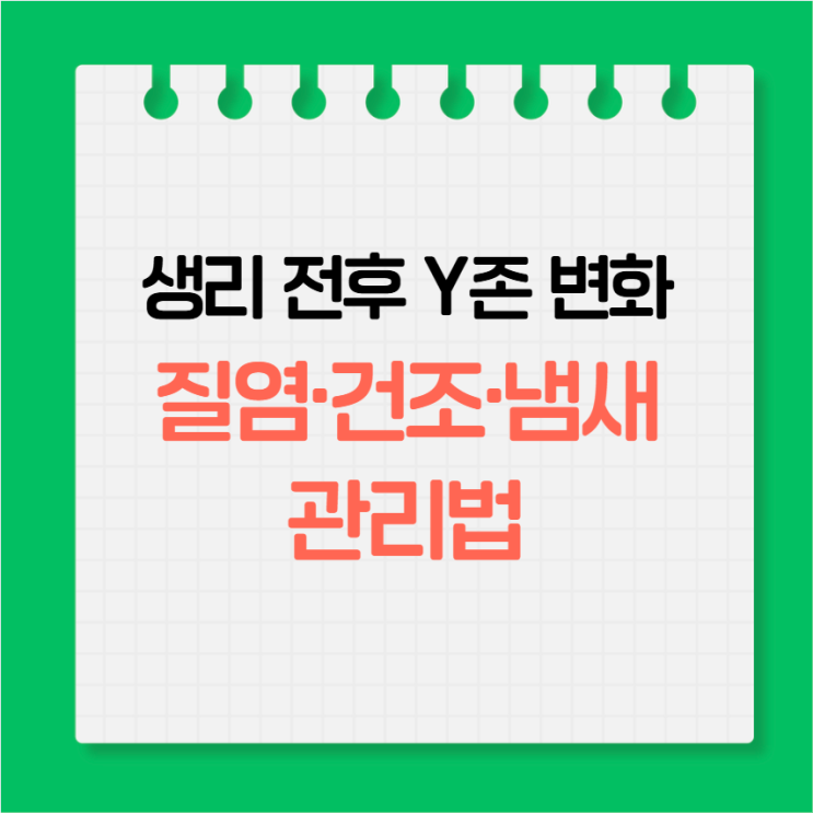   생리 전후 Y존 변화, 왜 예민해질까?질염·건조·냄새 관리법까지 총정리