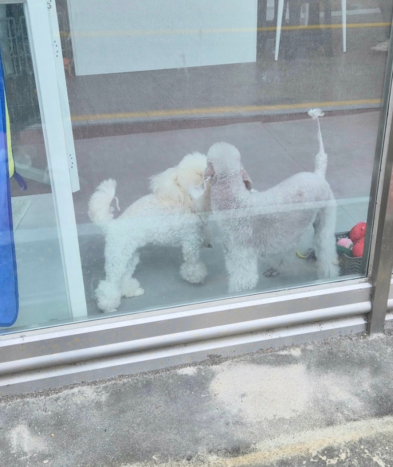 사진 6