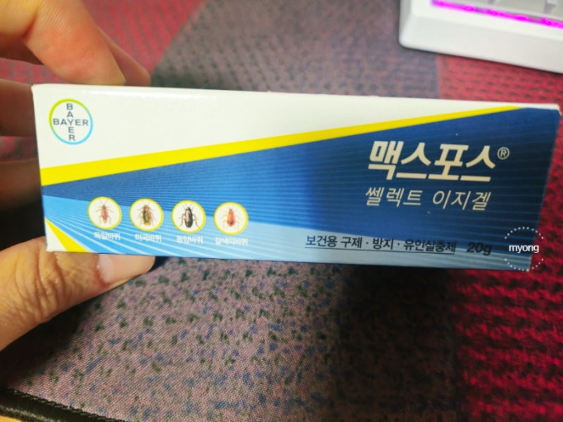 맥스포스겔 사용법 효과 후기 약국 바퀴벌레 약 없애는법 내돈내산