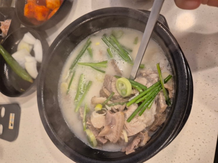  [대전 맛집] 둔산동 미당 돼지국밥 혼밥 후기