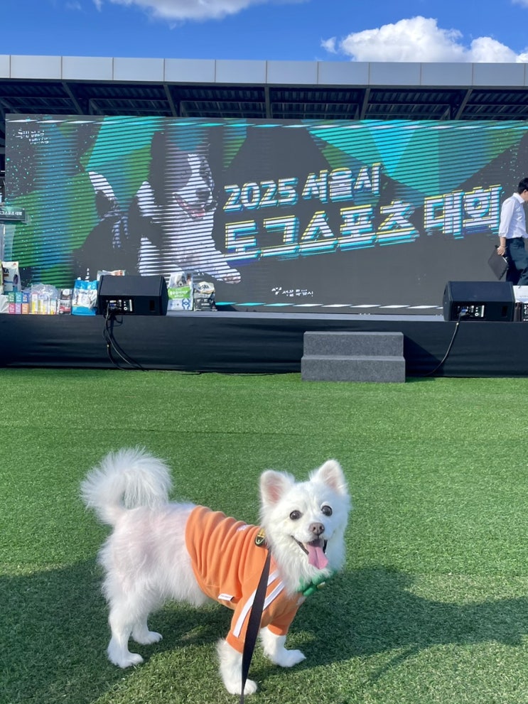  2025서울시도그스포츠대회 1회  찐후기