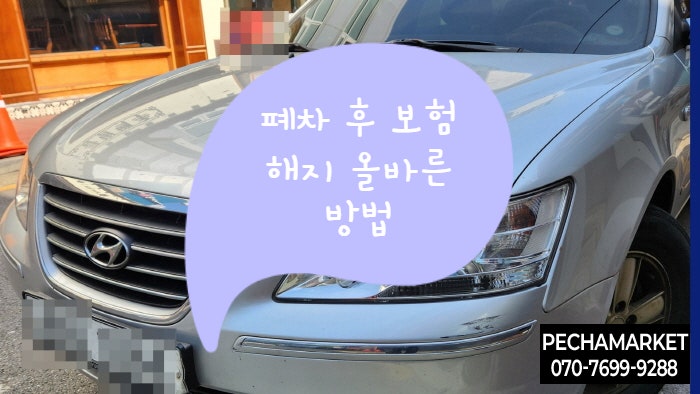  폐차 후 보험 해지 올바른 방법 (책임보험 과태료 피하는 안전한 절차)