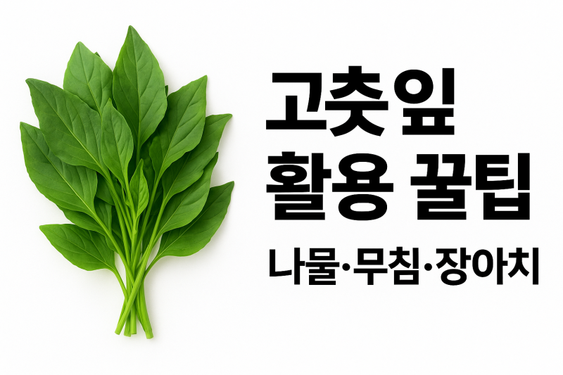 고춧잎 효능과 활용법 총정리: 나물, 무침, 장아치까지 쉽게 만들기