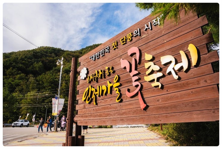  추석 가을꽃구경 가볼만한 곳! 인제 가을꽃축제 2025 기본정보 | 꽃과 함께하는 연휴 힐링여행