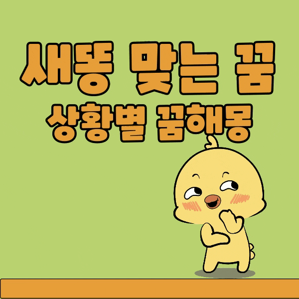 새똥 맞는 꿈 길몽과 흉몽 상황별 해석 총정리