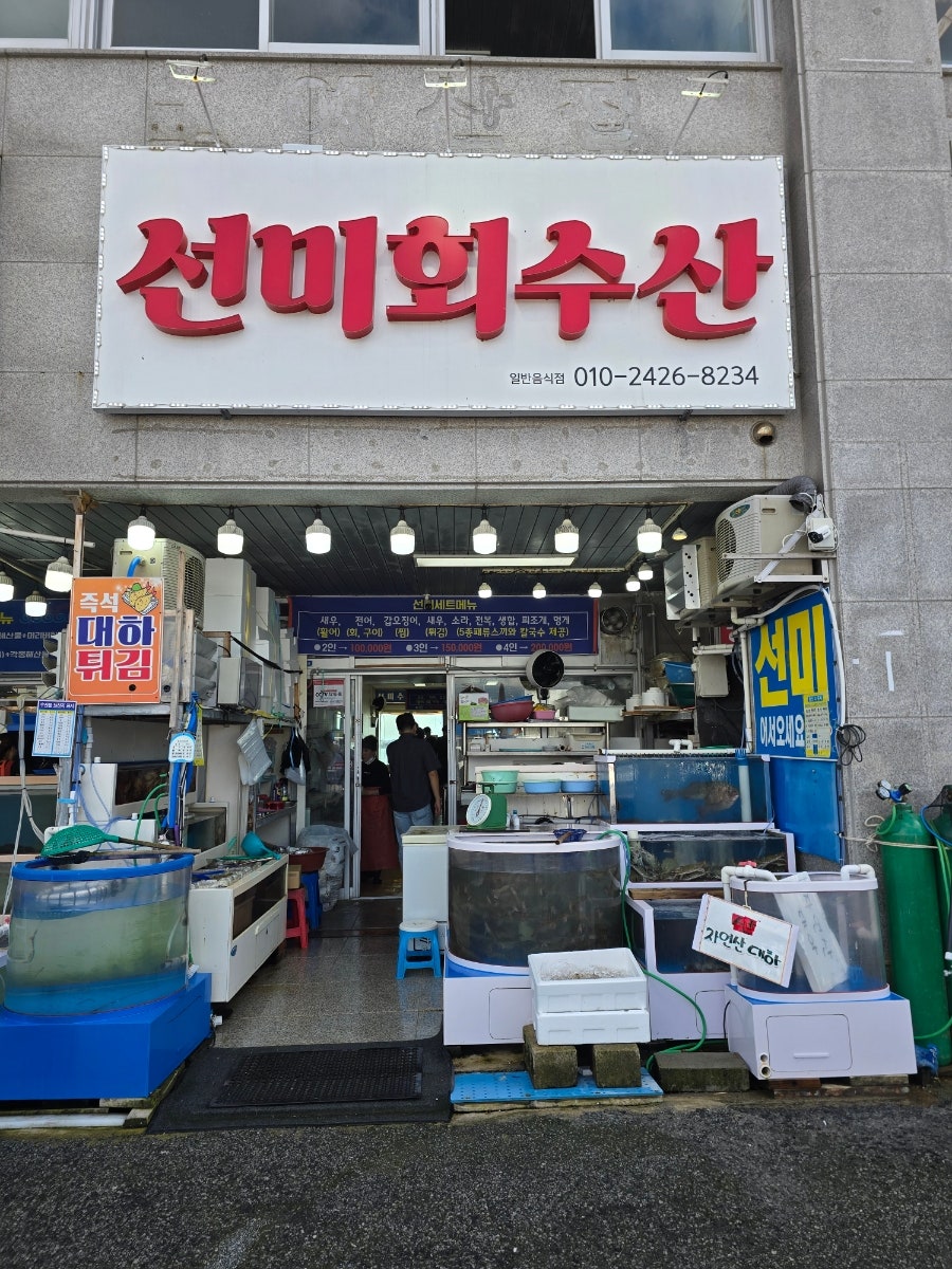선미 사진 5