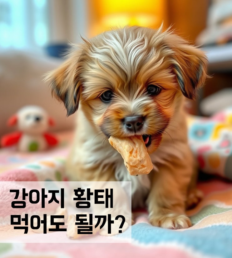  강아지 황태 먹어도 될까? 주의사항