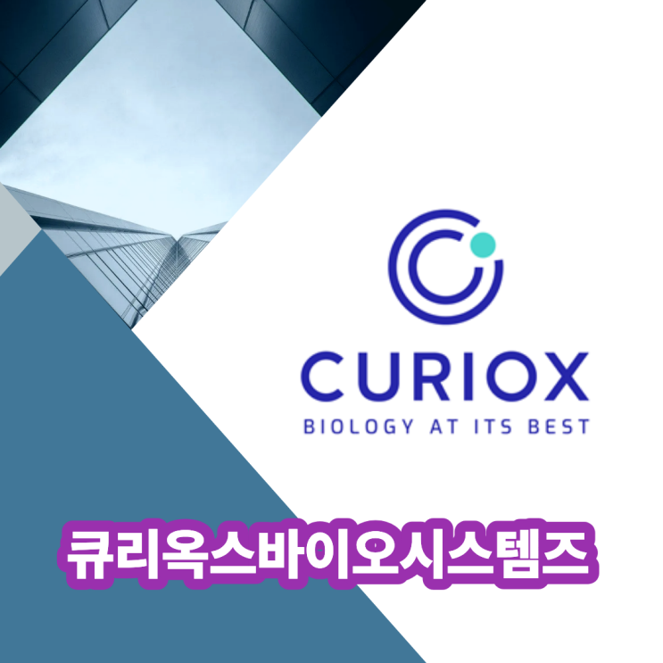  큐리옥스바이오시스템즈, 어디까지올라가는거에요?
