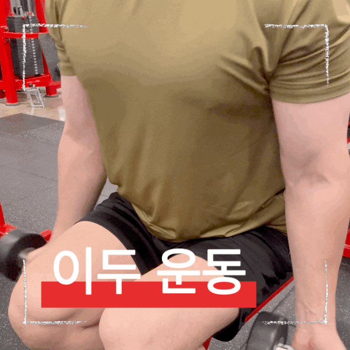  헬스 초보와 헬린이를 위한 이두근 덤벨컬 2차 수축하는 방법