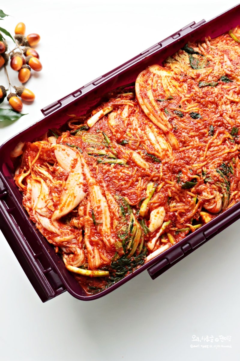 배추김치담그는법 절임배추 10kg 김장양념 레시피 추석김치 담그기