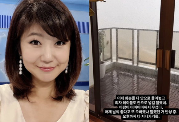  [프로필] "강수정", 홍콩 초강력 태풍 라가사에 긴장  “바람이 무서워요”(ft. 나이, 키, 혈액형, 방송경력, 여담)