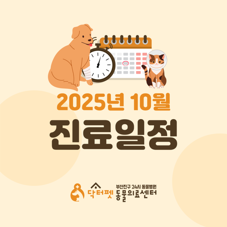  닥터펫동물의료센터 2025년 10월달 진료진 일정 안내 (사상구 부산진구 추석 공휴일 연중무휴 동물병원)