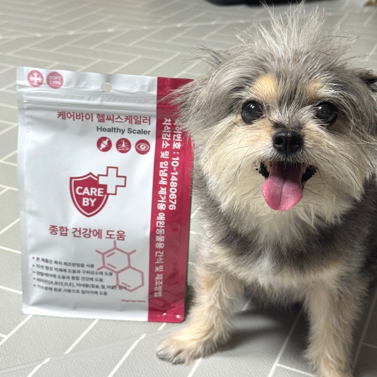  강아지 덴탈껌 추천 치석 입냄새까지 잡아주는 저알러지 양치껌 솔직 후기