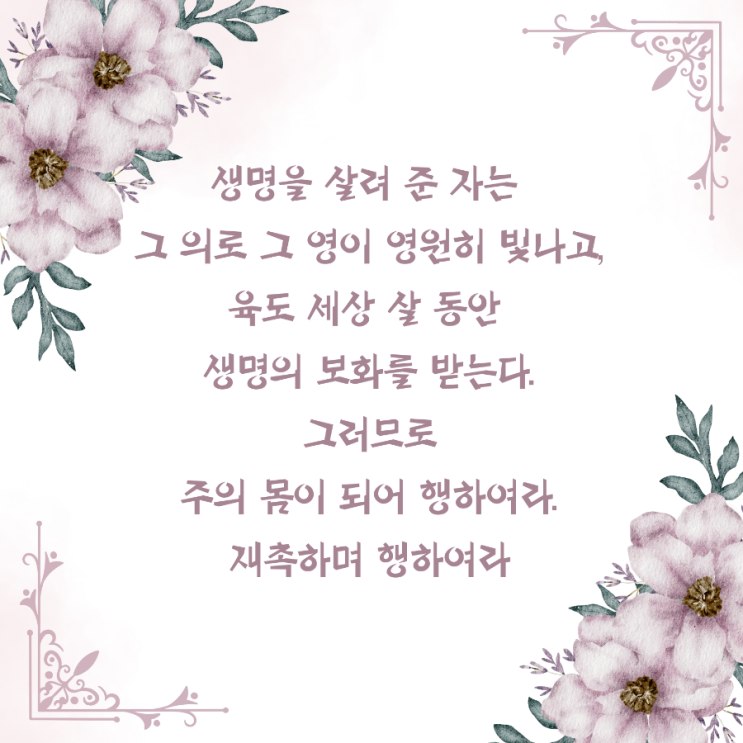  jms 정명석목사 잠언 ㅡ 생명을 살려 준 자는