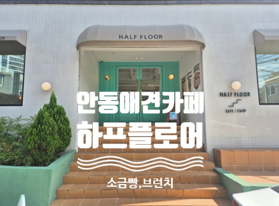 하프플로어 사진 1