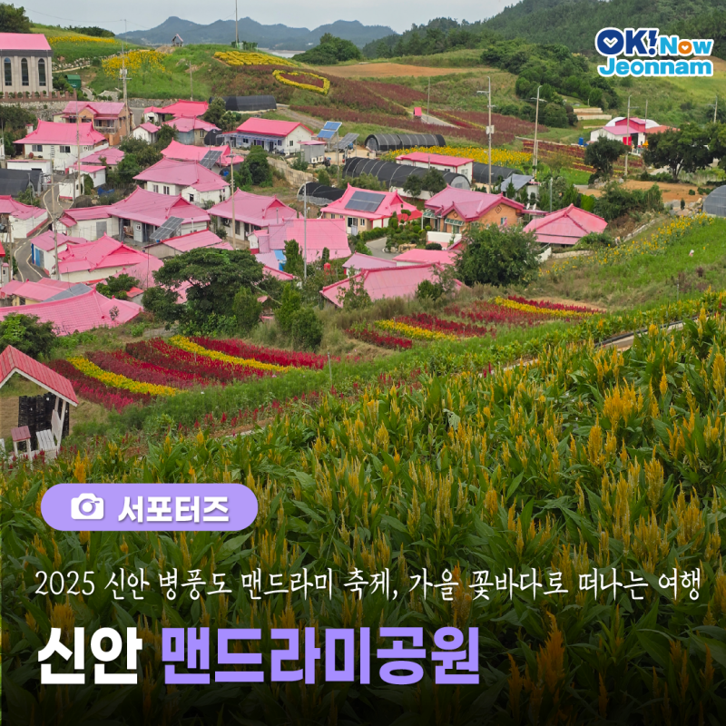 맨드라미 축제 포스터