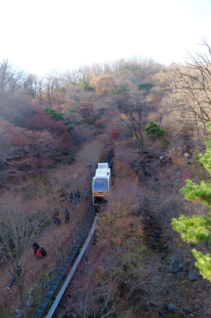  경기도 광주 화담숲 예약 하는법, 단풍시즌 곤지암 화담숲 모노레일은 필수