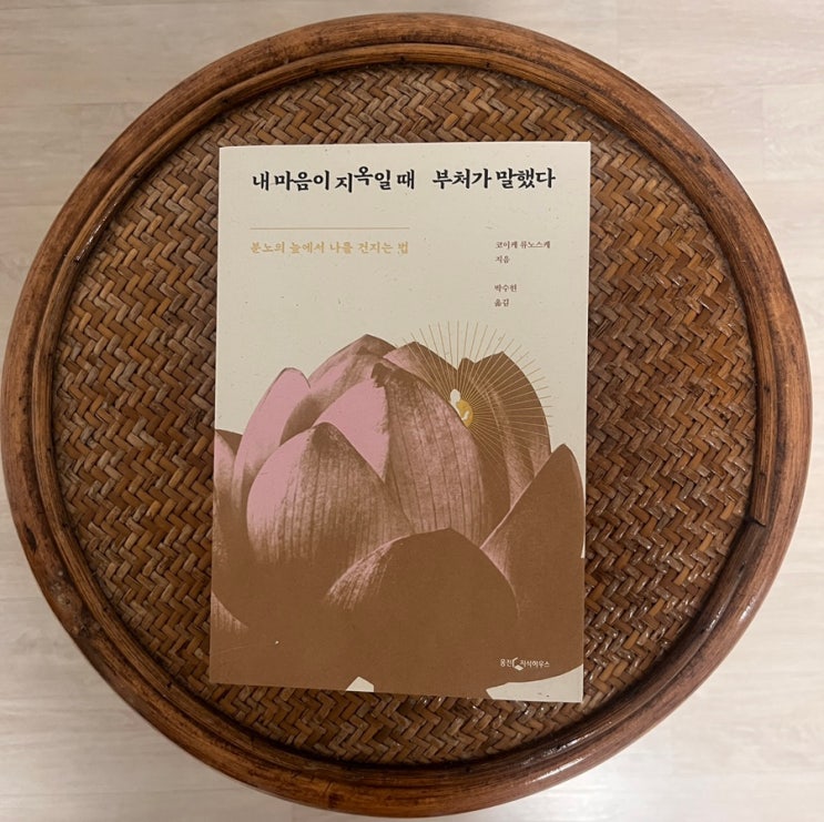  불교 철학 서적 내 마음이 지옥일 때 부처가 말했다 서평