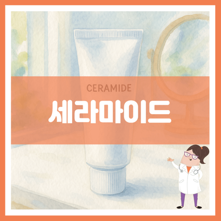  세라마이드 효능 부작용 사용방법