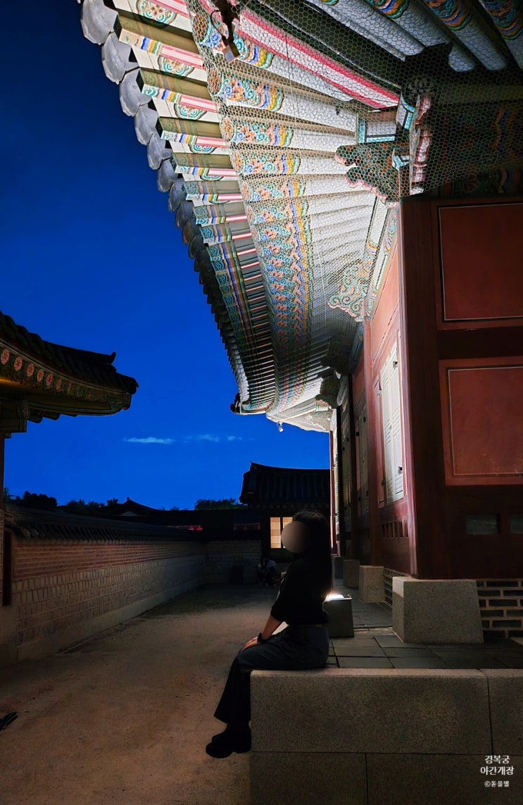  경복궁 야간개장 2025 완벽 가이드 가격 사진 꿀팁 입장 마감 시간 예약 방법