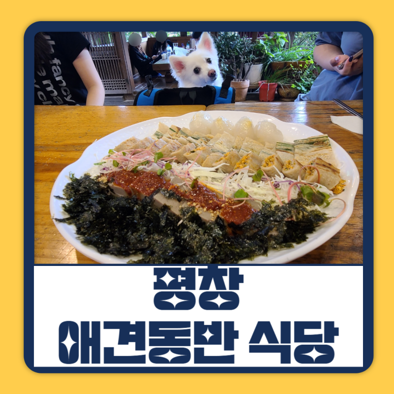 사진 6