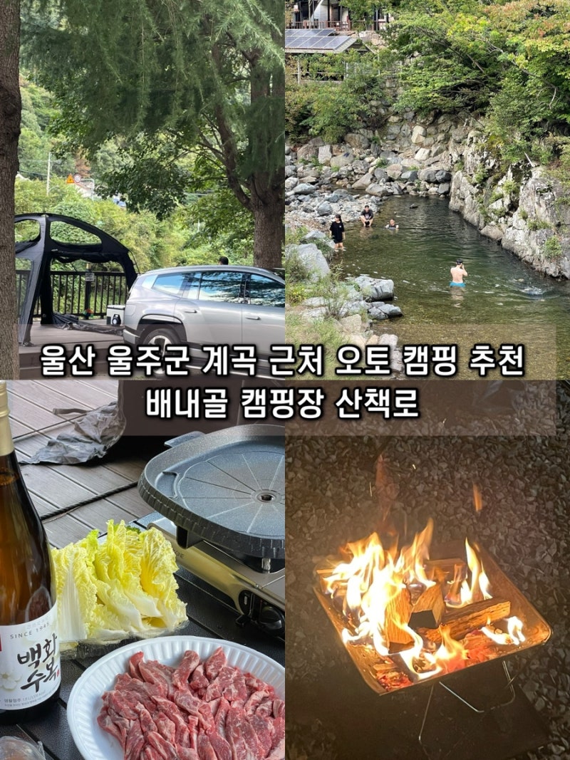 사진 2