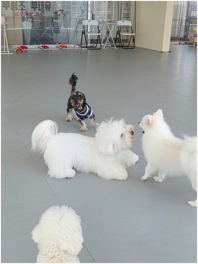 사진 9