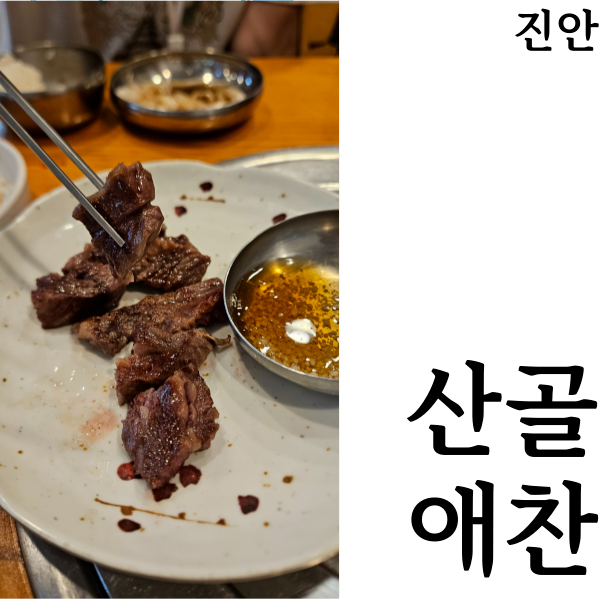  [진안 미식여행]진안고원 산골애찬 미식투어 24기옥순 방문 진안추천맛집 방문 후기