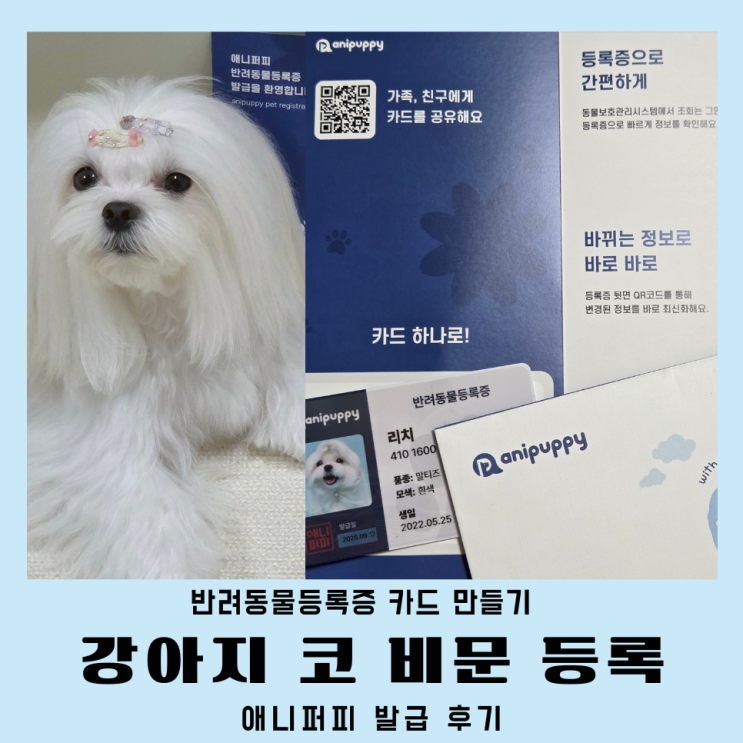  강아지 비문 등록 애니퍼피 반려견 등록증 무료 발급