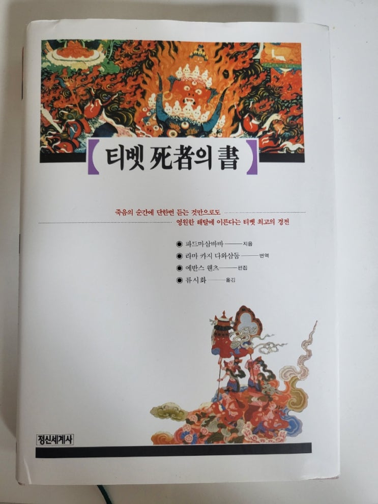  티벳 사자의 서