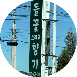 들꽃그리고향기 사진 1
