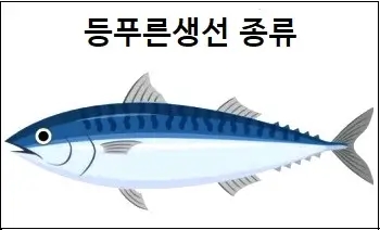 등푸른생선 종류 및 효능 상세 설명