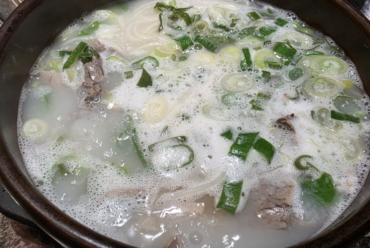  2025. 09. 23 (화) [한국] 점심 약속 &  점저 폭식 & 맛없는저녁