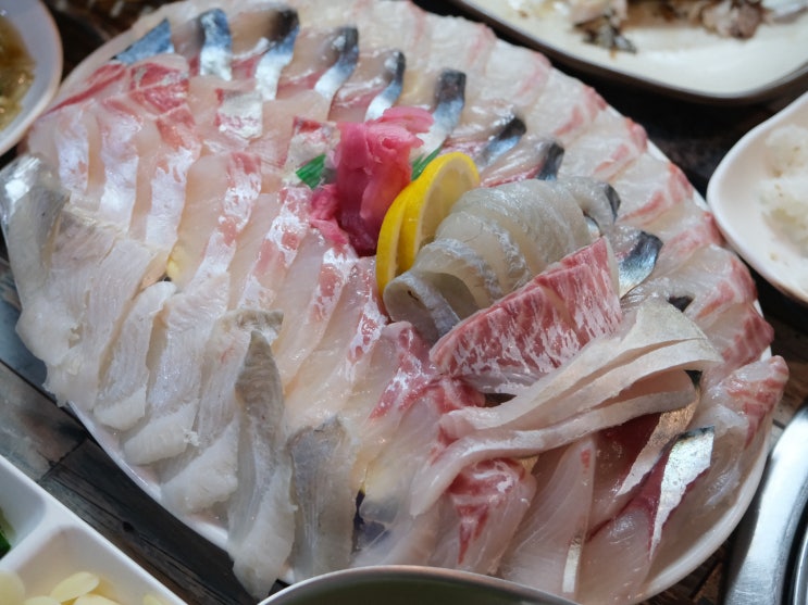  [제주 대정 신화월드 맛집] 제철 활어와 고등어회가 빛나는 모슬포 부두식당