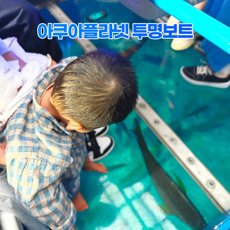 제주 아쿠아플라넷 투명보트 아기와 함께 (36개월 미만 공짜)
