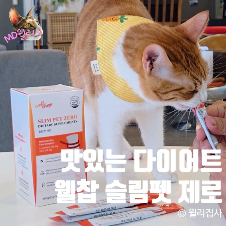  고양이 다이어트 웰찹 슬림펫 제로 처방식 원료로 케어