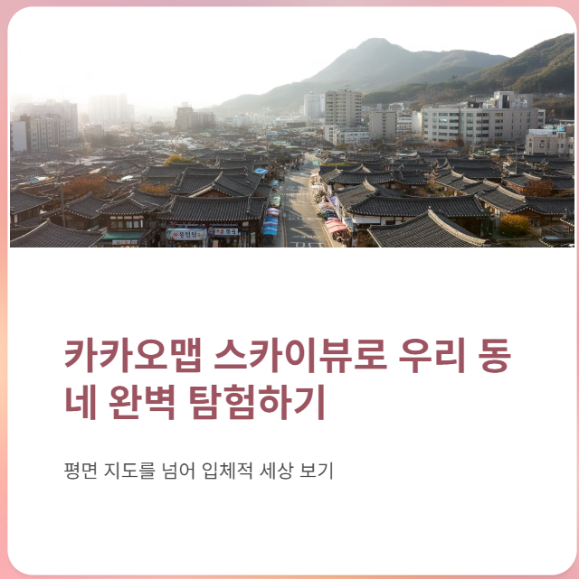 카카오맵 스카이뷰 이용 하는 방법은?