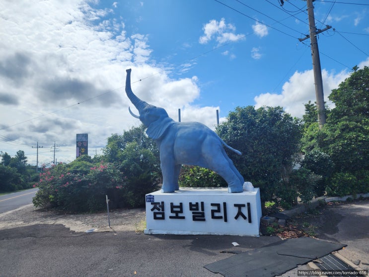  제주 아이와 가볼 만한 곳, 코끼리 테마파크 점보빌리지 방문 후기 