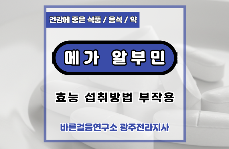 메가알부민 효능 섭취방법 부작용
